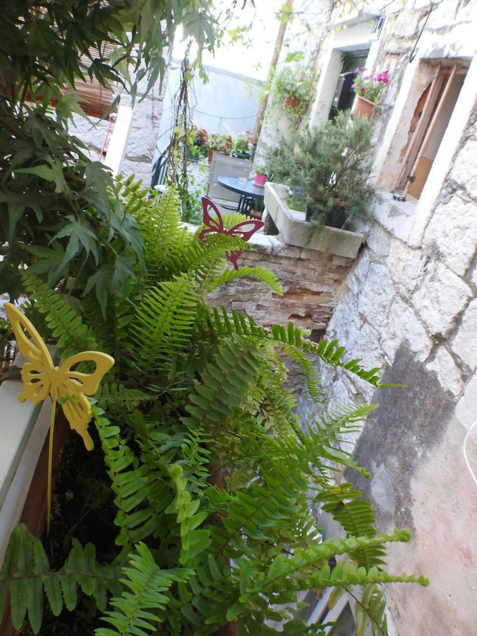 Apartments Kovacic_Grubisic Σπλιτ Εξωτερικό φωτογραφία
